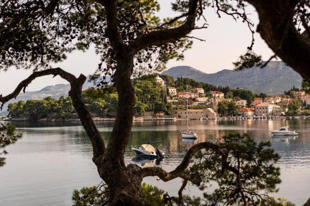Apartment Biggy Cavtat Eksteriør billede